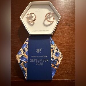 ER73391
BP collection, September 2025